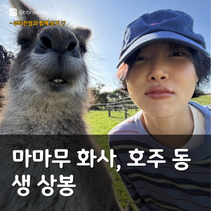 마마무 화사, 호주 동생 상봉 "믿을 수 없어"… 캥거루와 초밀착 반전 일상