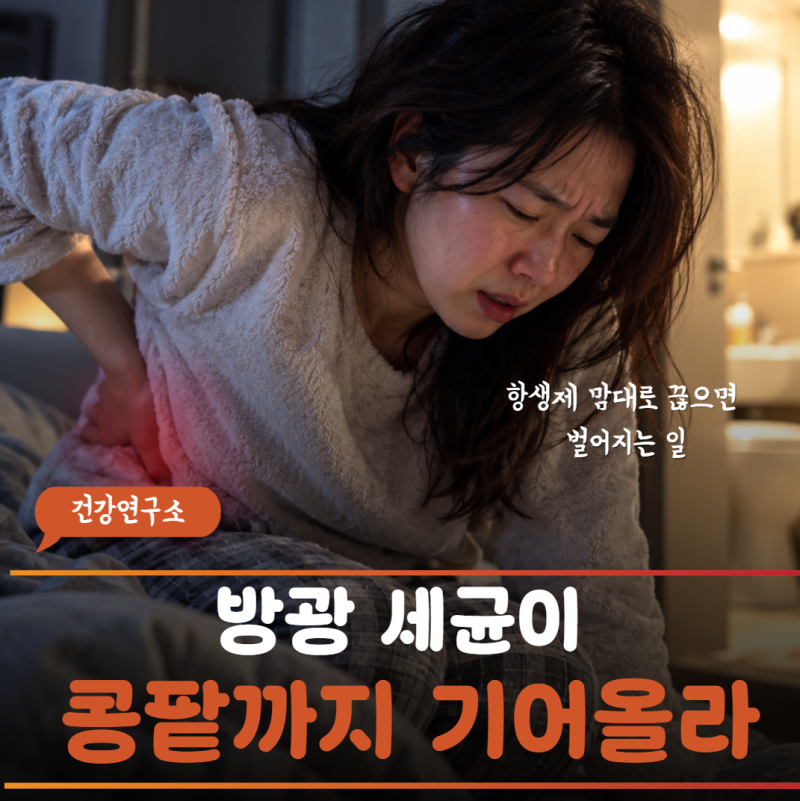 "방광염 약 먹고 잔뇨감 사라졌는데 옆구리가 쑤신다면?" 급성 신우신염과 패혈증 막는 복약 ....