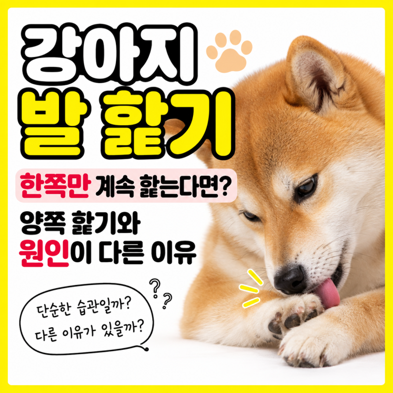 강아지 발 핥기, 한쪽만 계속 핥는다면? 양쪽 핥기와 원인이 다른 이유