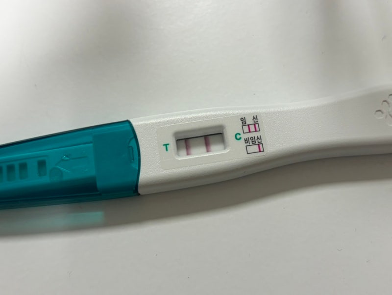 [임신4-5주차] 임신극초기증상, 아기집확인, 루트여성의원, 임신확인서발급