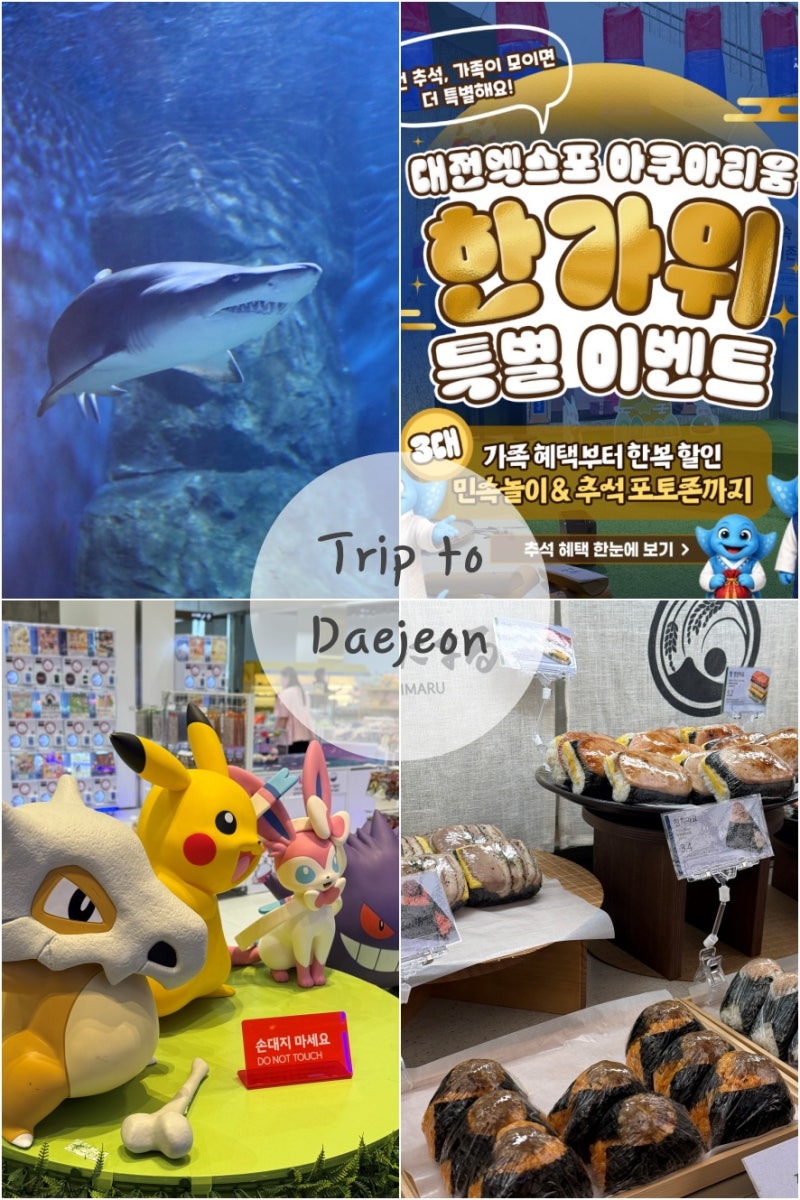 대전 신세계 백화점 엑스포 아쿠아리움까지 대전 가볼만한곳 놀거리 볼거리 먹거리