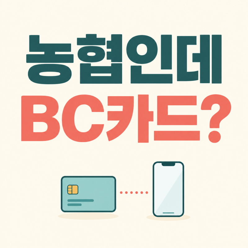 첫만남이용권 잔액조회 농협, 카드는 BC로 발급돼 있어요