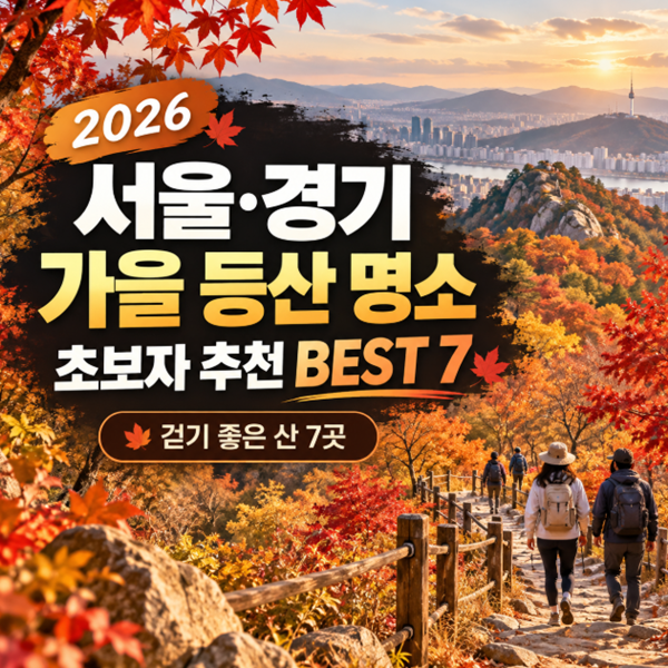 2026 서울 경기 가을 등산 명소 BEST 7 초보자도 걷기 좋은 단풍 산행