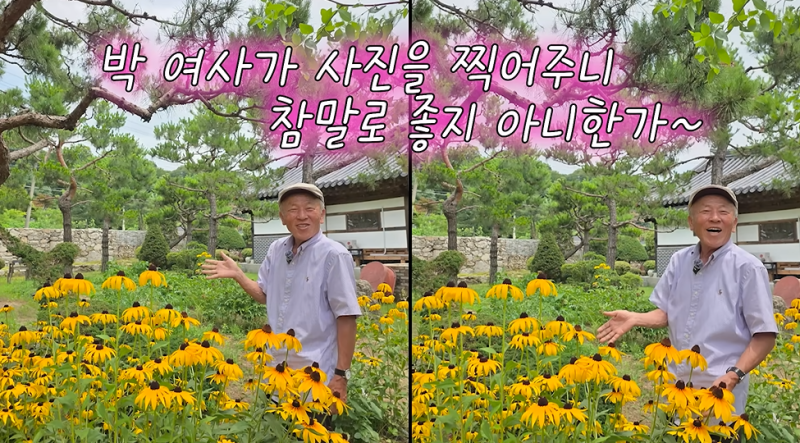 1000평 한옥집 부러웠는데... 임현식 "나무 다 캐버리고 싶다."