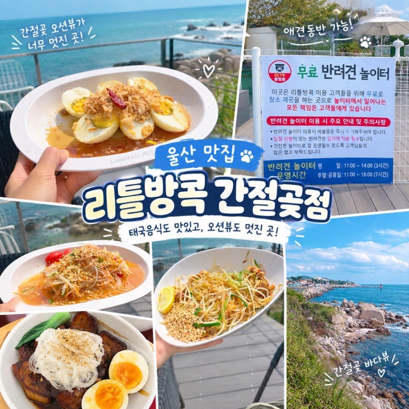 울산 간절곶 맛집 리틀방콕 오션뷰 애견동반 식당 재방문 후기