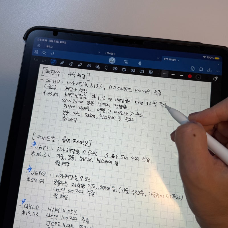 갤럭시탭 S10 라이트, S10 FE까지 안 가고 이걸 선택한 이유