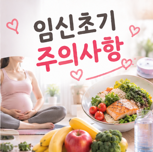 임신초기 주의사항 음식 운동 등 많이 헷갈려하는 5가지