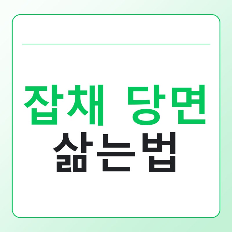 잡채 당면 삶는법, 불지 않게 삶는 온도와 시간