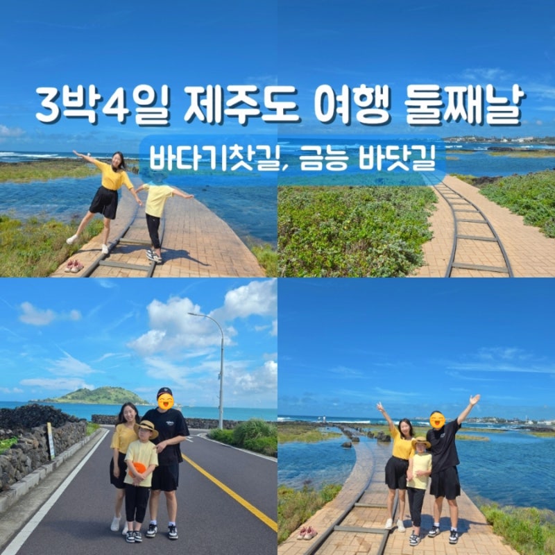 제주도 여행 코스 서쪽 사진스팟 금능 바닷길, 바다기찻길