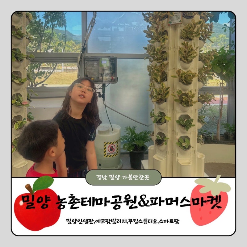 경남 밀양 아이랑 가볼만한곳 교육적인 농촌테마공원 파머스마켓