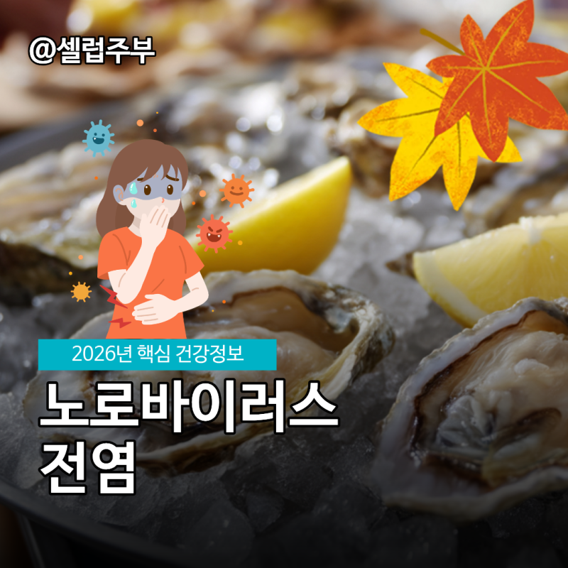 노로바이러스 전염 가을 환절기 증상 주의
