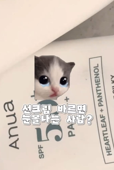 눈시림 없는 선크림? 유기자차vs무기자차vs혼합자차 종결
