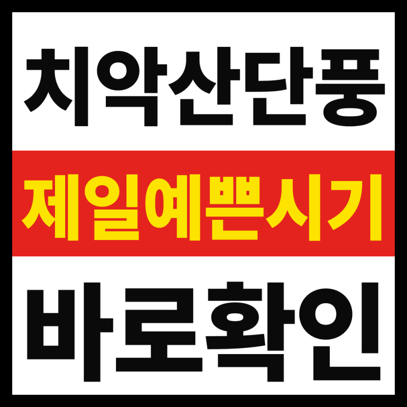 치악산 단풍 절정 시기, 10월 중순? 10월 말? 당일치기 추천일 공개
