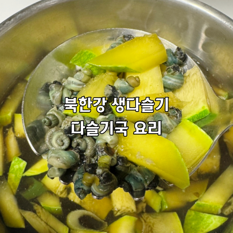 다슬기요리 꽉찬다슬기 생다슬기로 직접 끓여본 다슬기국