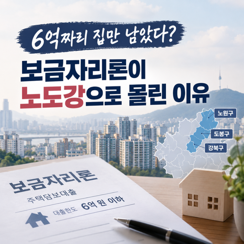 6억짜리 집만 남았다? 보금자리론이 노도강으로 몰리는 이유