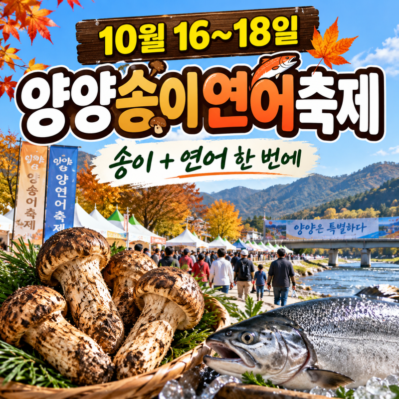 2026 양양송이축제 10월16~18일, 올해는 연어까지 함께…송이 못 사도 갈 만할까?