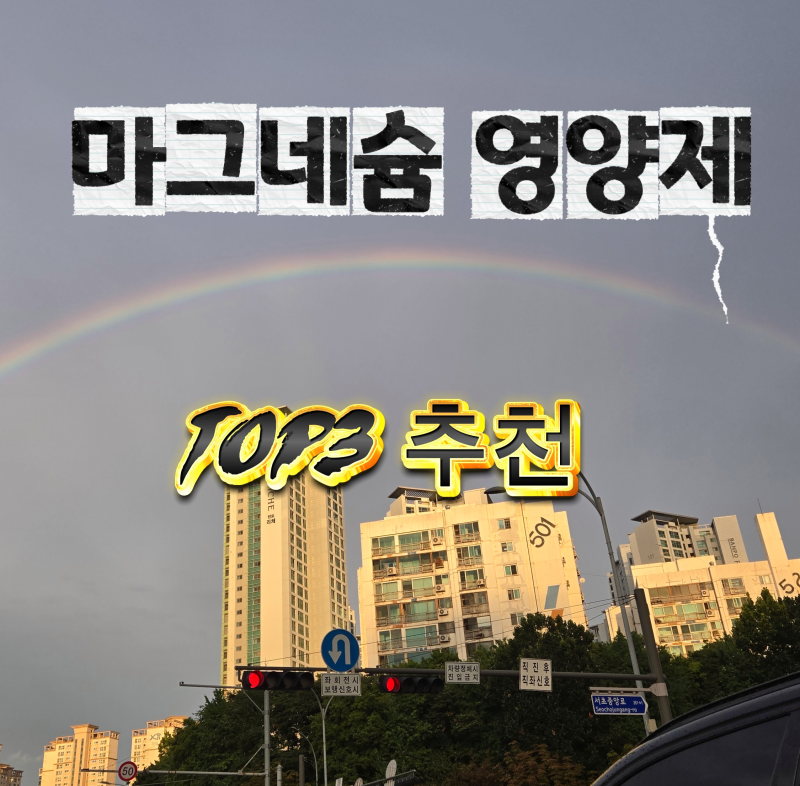 마그네슘 영양제 TOP3 추천｜종류부터 함량까지 비교해봄