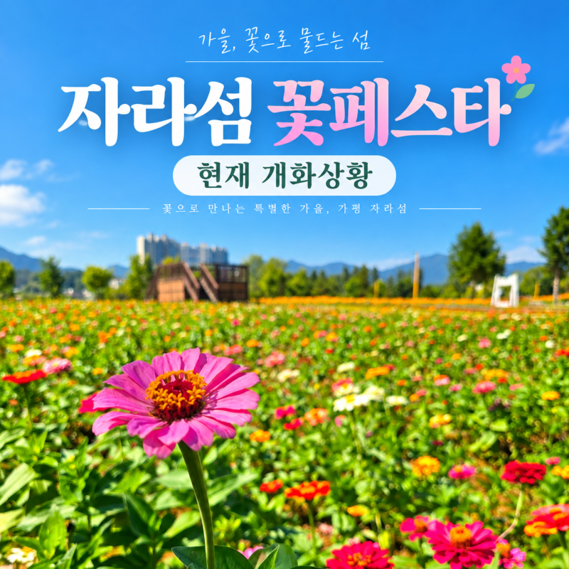가평 자라섬 꽃페스타 현재 개화상황, 남도 꽃정원 입장료·주차·자라나루 카페