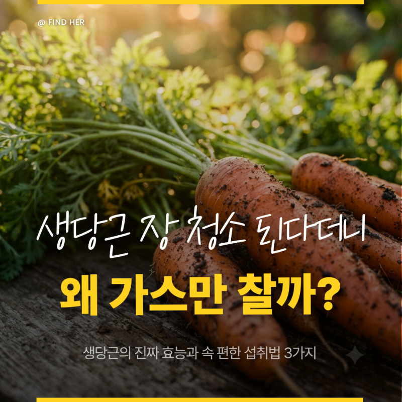 당근 매일 1개 먹으면 장 청소된다더니 가스만 차는 이유? 진짜 생당근 효능과 속 편한 섭취....
