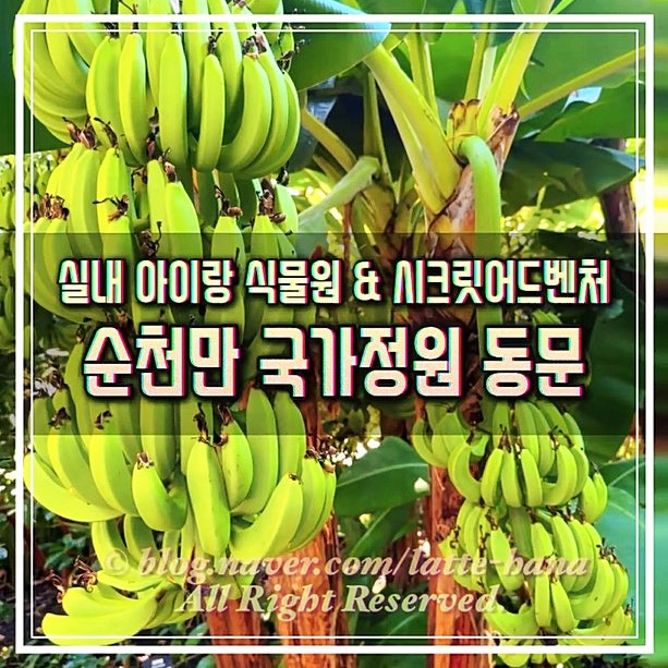 순천만국가정원 동문 실내, 식물원에서 끝내면 아쉬운 이유 (시크릿어드벤쳐 & 입장료)
