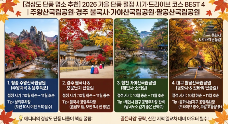 [경상도 단풍 명소 추천] 2026 가을 단풍 절정 시기·드라이브 코스 BEST 4 | 주왕산·경주 불국사....