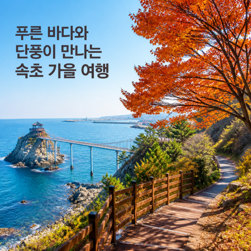 속초 가볼만한곳 best5 가을 여행 추천 명소