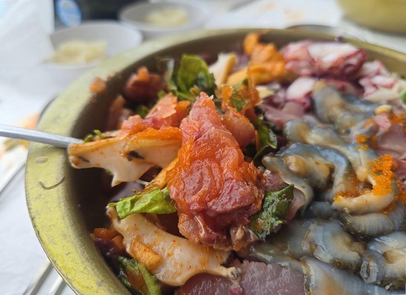 강원 속초 넓고 쾌적한 속초 물회 맛집 추천