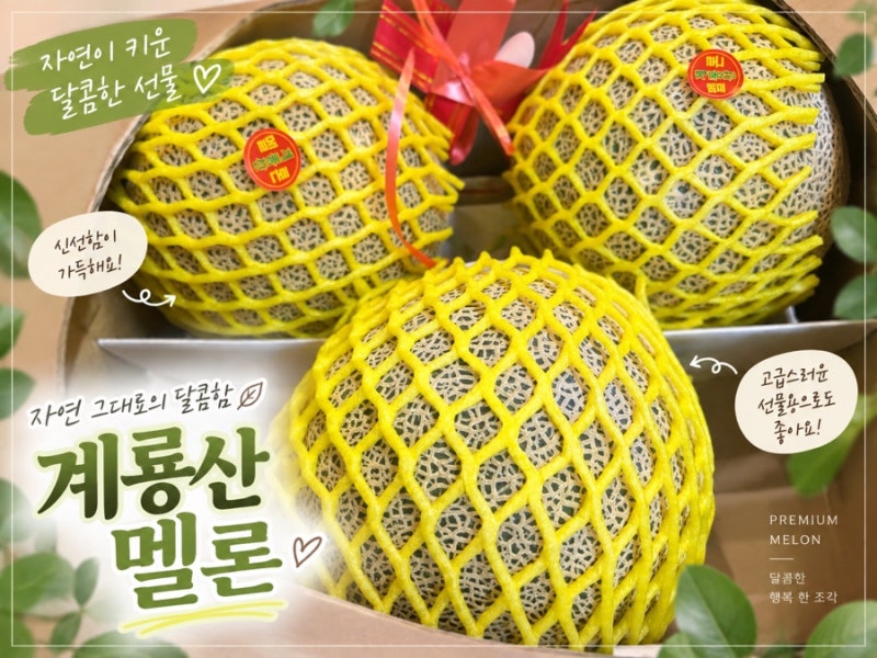 계룡산 멜론 선물 후기