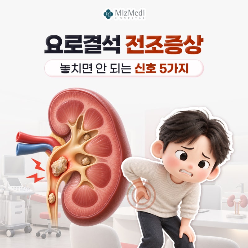 요로결석 전조증상 놓치면 안 되는 신호 5가지