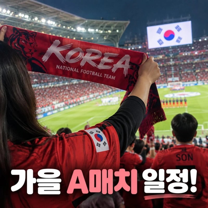 [축구]국가대표 축구 일정 한눈에 보는 대표팀 경기 총 정리!