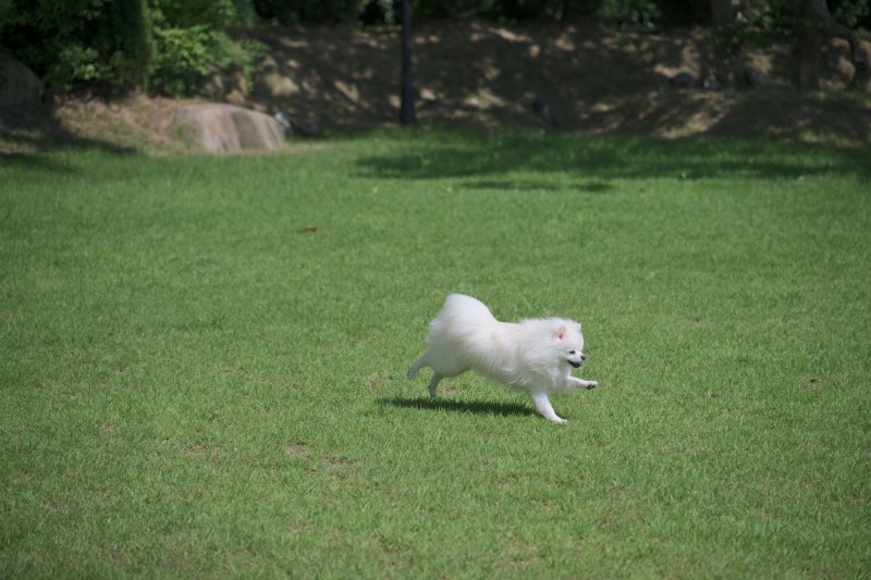 [전주 웨딩홀 투어]파워 P 커플의 결혼 준비 시작!? 전주 아엘르 상담 후기