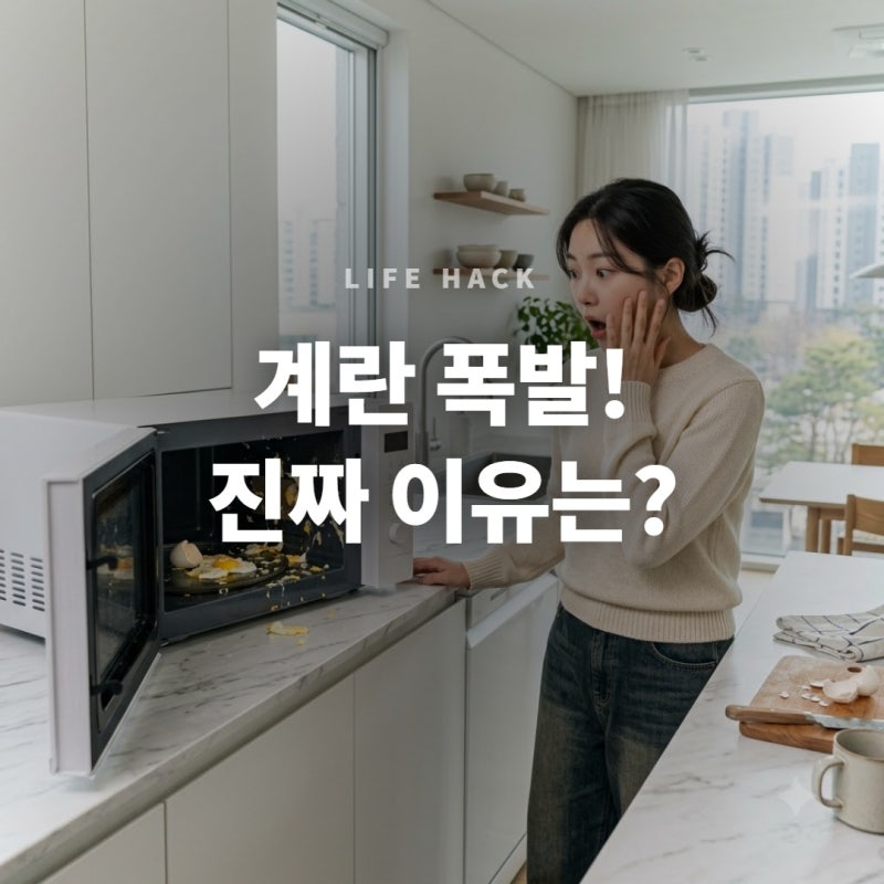 전자레인지로 달걀 돌리면 100% 폭발하는 진짜 이유