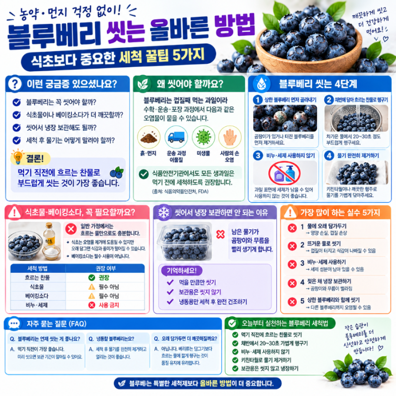 블루베리 씻는 올바른 방법! 식초보다 중요한 세척 꿀팁 5가지