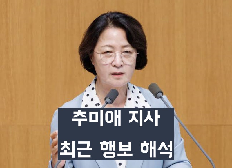 '이재명 김동연 비판' 경기도지사 추미애 최근 행보 이유와 전망