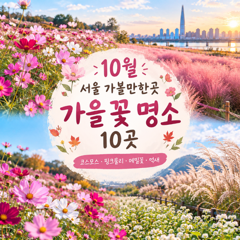 가을에 꼭 가볼 서울 명소 10곳｜코스모스부터 억새까지