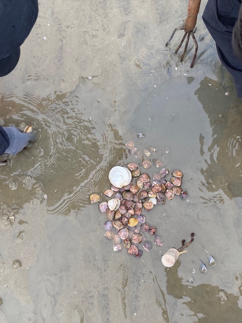 [Incheon Yeongjong] Mashian Tidal Flat Experience: My Second Visit Review - The Day I Tried with Socks Because Rain Boots Were Sold Out (Preparation, Parking...)