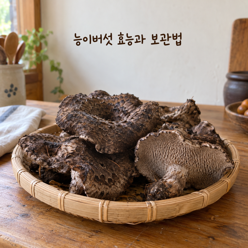 능이버섯 효능과 보관법, 귀한 버섯 오래 두고 먹는 방법