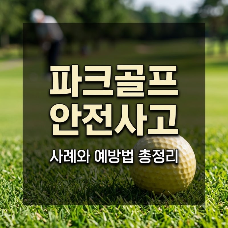 파크골프장 안전사고 사례와 예방법은 무엇인가요?