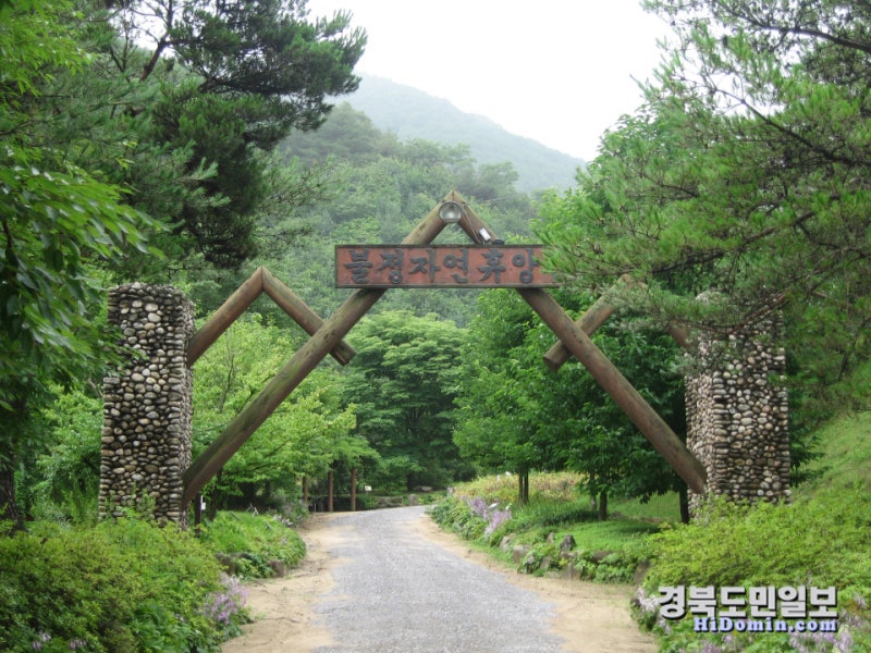 문경 불정자연휴양림 예약, 우선예약제 모르면 놓치는 이유