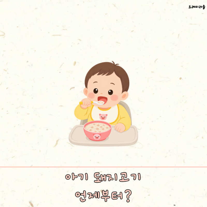 아기 돼지고기 언제부터? 먹는 시작 시기 부위 삼겹살