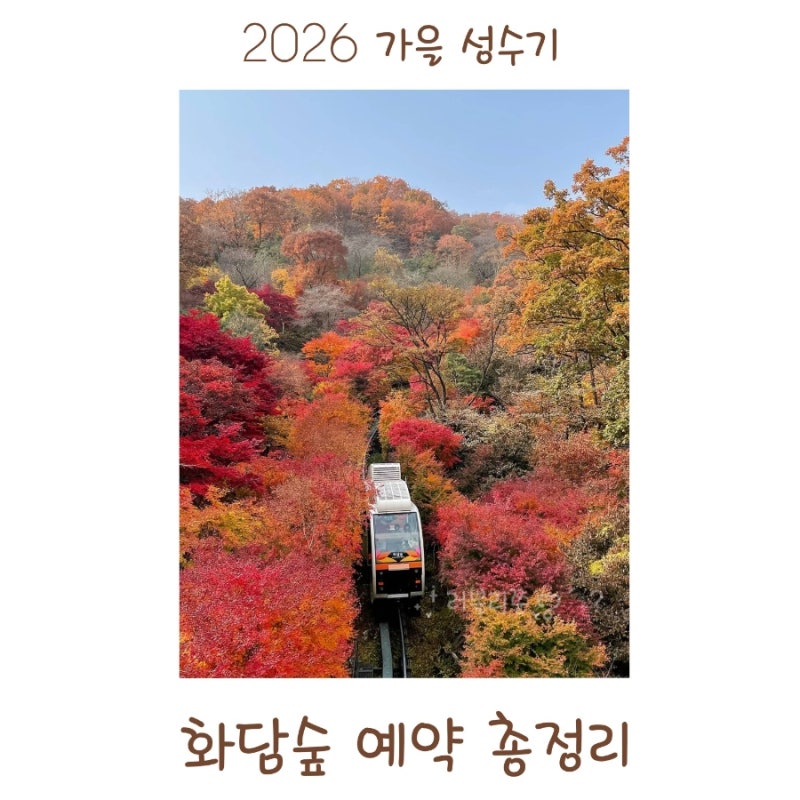 화담숲 예약 가을 단풍시기 모노레일 예약방법부터 숙소까지