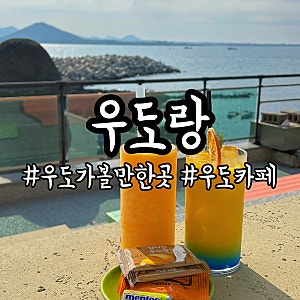 제주 동쪽 오션뷰 카페 우도랑 애견동반 가능한 곳 우도 가볼만한곳