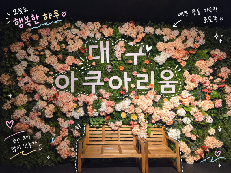 대구아쿠아리움 아이랑 가볼 만한 곳 대구 실내 데이트 대구신세계백화점 방문 후기