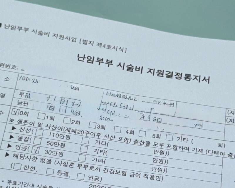 난임부부 시술비 지원금 보건소 신청방법 | 사실혼 필요서류와 방문후기