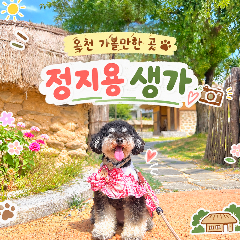 Chungbuk Okcheon Dog-Friendly Places | Pet-Friendly Domestic Travel [Jeong Jiyong Literary Museum] Daejeon Vicinity Travel Destination