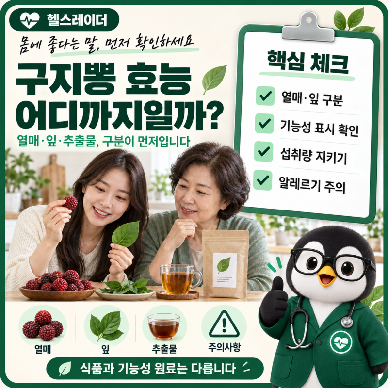 구지뽕 효능, 꾸지뽕 열매·잎차는 어디까지 도움 될까? 기능성·주의사항 정리
