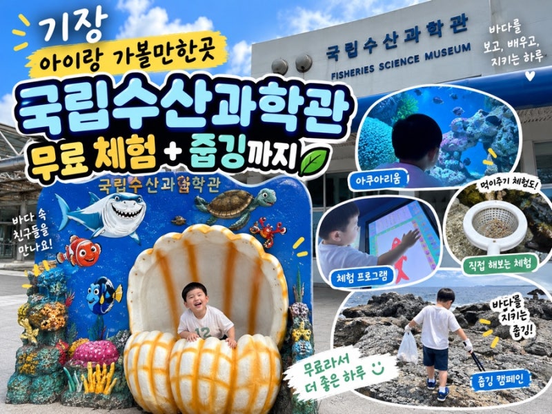 釜山機張：子供と行ける場所、国立水産科学館の無料体験とプロギングまで