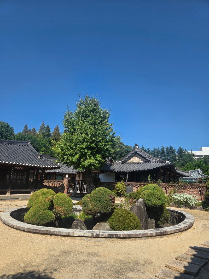 광주비엔날레 파빌리온(이장우가옥)