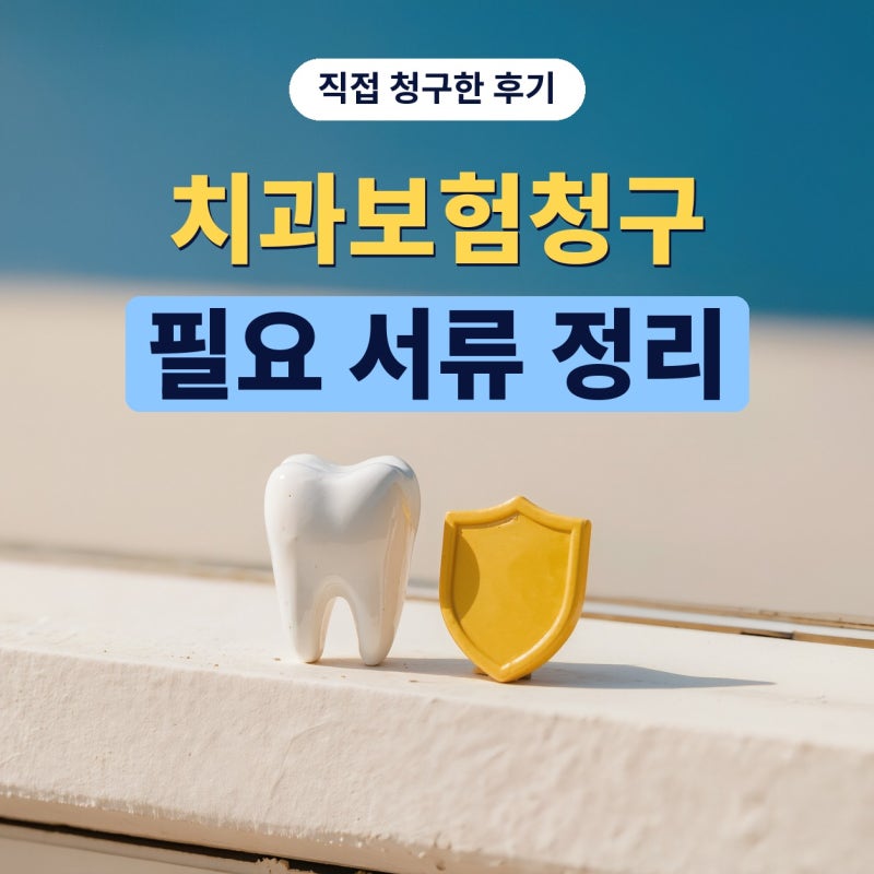 치과보험청구 해보니 치과치료비 영수증만으로는 부족했던 이유 (플랜비보험)