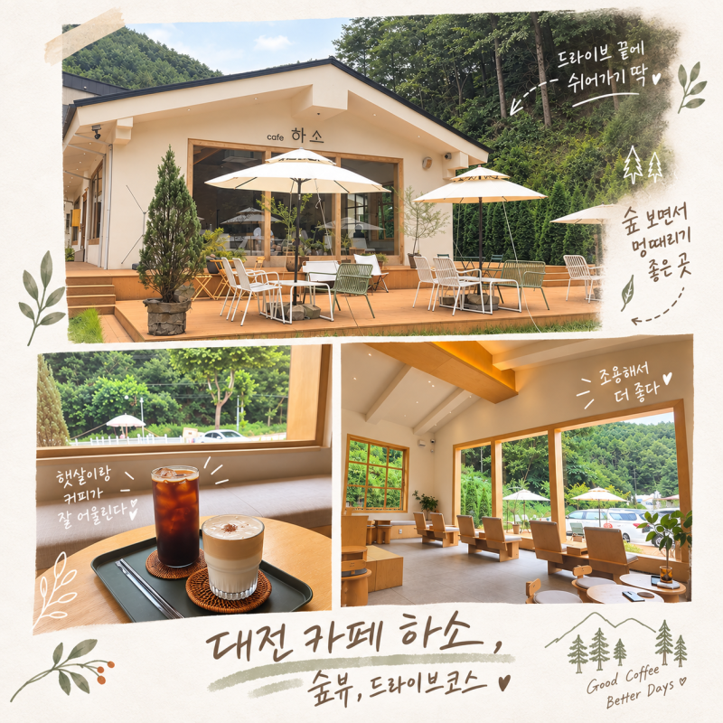 Daejeon Vicinity Drive Course Healing Cafe | Cafe Hasso: Forest View & Signature Latte Review